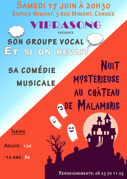 Affiche Spectacle 2017